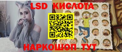 индика Обнинск
