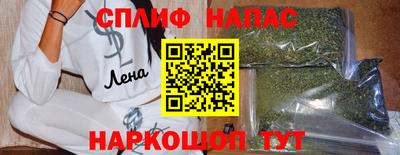 СК Обь