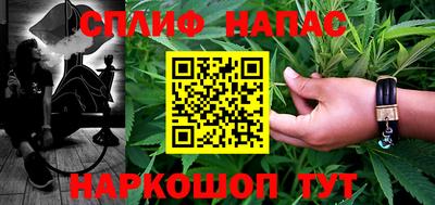 индика Обнинск