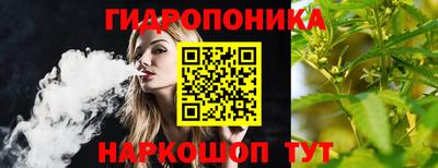 СК Обь