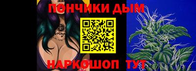индика Обнинск