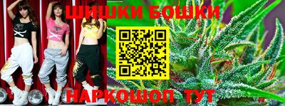 СК Обь