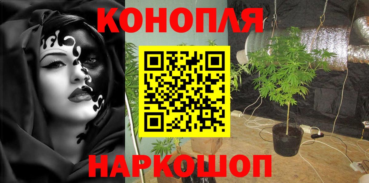 Санкт-Петербург  Шишки марихуана Ganja  Вход с VPN  Бошки марихуана индика  Конопля тримм 